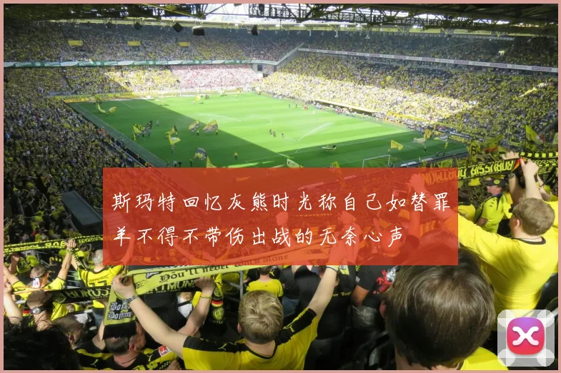 斯玛特回忆灰熊时光称自己如替罪羊不得不带伤出战的无奈心声