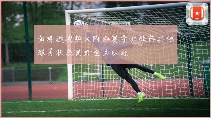 黄蜂迎战热火附加赛霍尔缺阵其他球员状态良好全力以赴