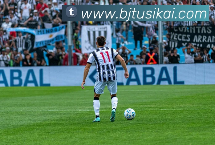 星空入口网页版官方版平台生态图